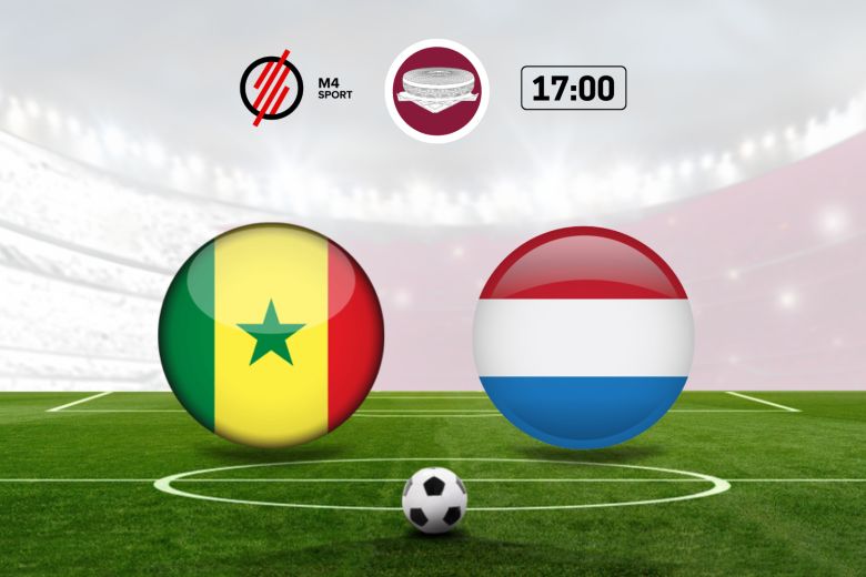 Szenegál vs Hollandia mérkőzés