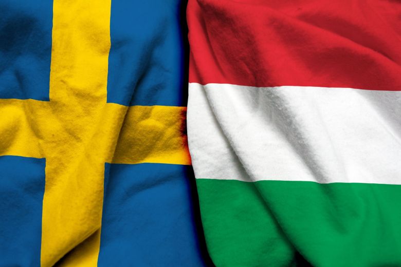 Svédország - Magyarország 001