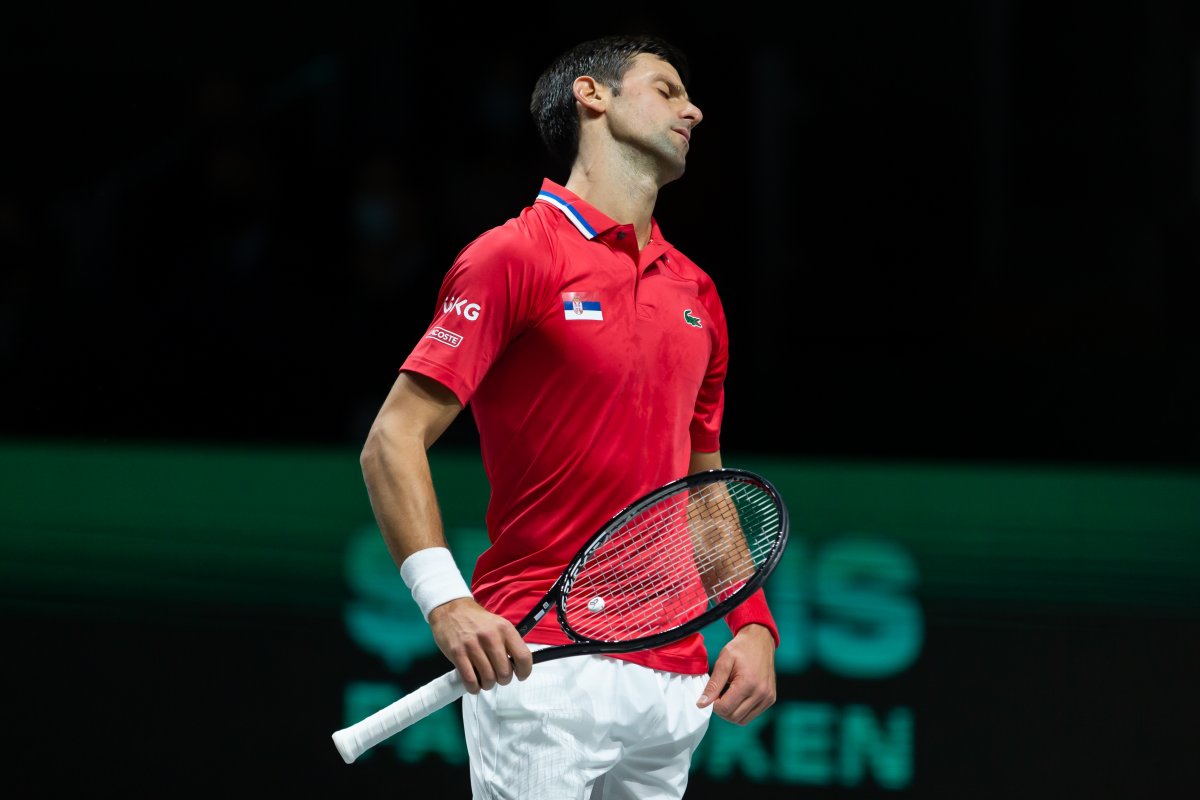 Novak Djokovic - 2021 december Fotó: Marta Fernandez Jimenez/Shutterstock